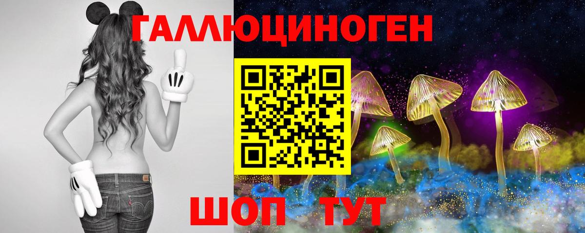 Елизово  Галлюциногенные грибы прущие грибы  Вход с VPN 
